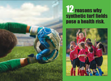 12 Reasons Why Synthetic Fields Pose a Health Risk